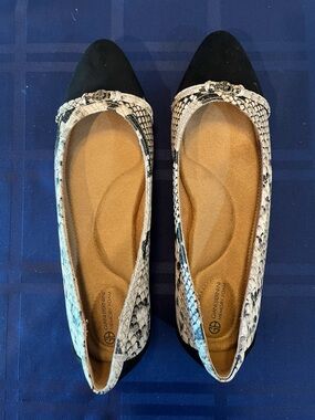 Black & Snake-Print Pointed Toe Flats